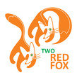 two red fox