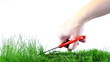 Video: Cutting Grass Cutting Grass