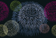 Vektor: Abstract seamless background with a fireworks Abstract seamless background with a fireworks