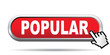 POPULAR ICON