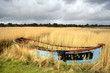 Abandoned Boat in Reeds