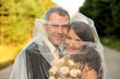 beauty, couple, lifestyle, relation, wedding, young