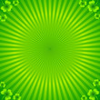Green radial stripes background with clovers