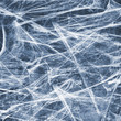 cobweb