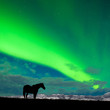 Foto: Horse distant snowy peaks with Northern Lights sky Horse distant snowy peaks with Northern Lights sky