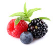Fresh berries with mint