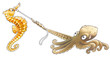 The octopus has caught sea-horse with the help lasso