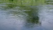 Moving water plants
