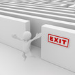 Exit the maze
