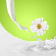 Image of milk splashes