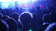 Concert Crowd, slow motion