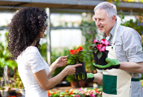 Photo: Woman choosing a flower in greenhouse with employee Woman choosing a flower in greenhouse with employee