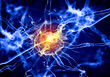 Illustration of a nerve cell