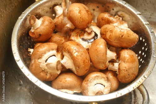 Photo: Washing Nutritious Portabella Mushrooms Washing Nutritious Portabella Mushrooms