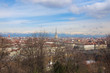 Turin view