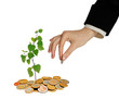 Investing to green business