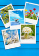 Photo: Endlich Frühling!, Frühlingserwachen, Pinwand, Sofortbild Endlich Frühling!, Frühlingserwachen, Pinwand, Sofortbild