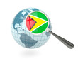 Magnified flag of guyana with blue globe