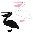 Pelican