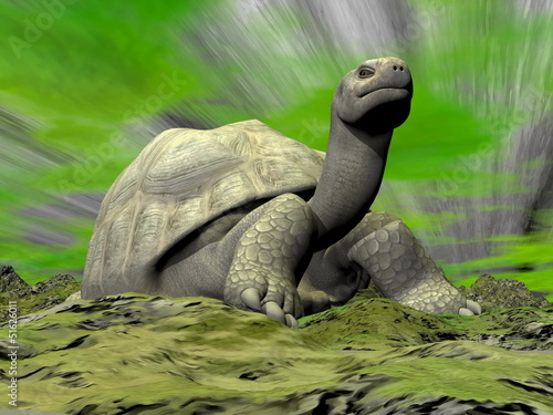 Illustration: Galapagos tortoise looking at you - 3D render Galapagos tortoise looking at you - 3D render