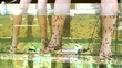 Peeling skin feet of tropical fish in the water