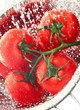Tomatoes-on-vine-water-splash