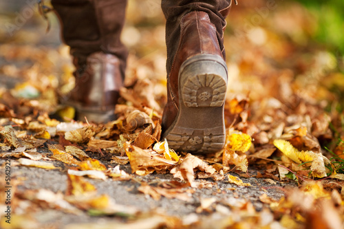 Photo: frau geht durch den herbstwald frau geht durch den herbstwald