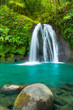 tropical waterfall