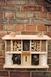 Insect Inn