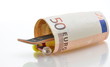 Skateboard und Euro