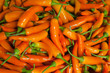 Yellow chili pepper