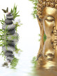 reflets de Bouddha