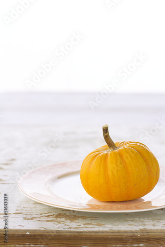Photo: Yellow pumpkin on plate Yellow pumpkin on plate