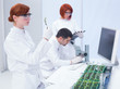 laboratory plant study