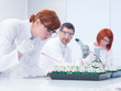 students experimental studies