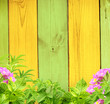 Summer background