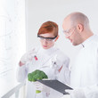 laboratory broccoli injection