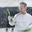 scientist analyzing leafs