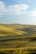 Tuscan horizon