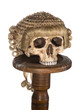 Isolated skull with court wig