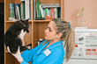 veterinary woman