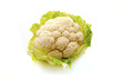 Foto: White cauliflower White cauliflower