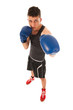 Boxing man