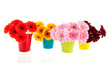 Bouquets Gerber Flowers In Col...