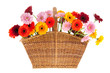Wicker full with Gerber flowers