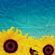 sunflowers on paper
