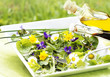 canvas print picture - Frühlingskräuter-Salat