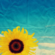Foto: folded sunflower paper folded sunflower paper
