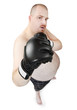 Foto: The boxer. The boxer.