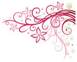 Sommer, frame, Blumen, Ranke, pink, rosa